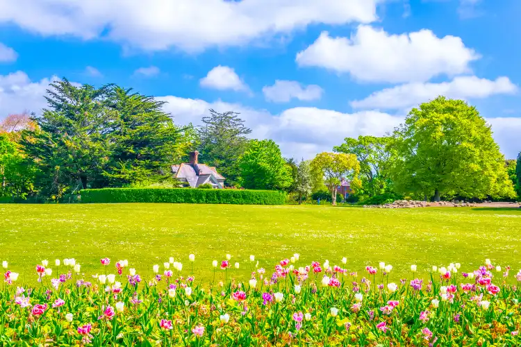 Hotels near Phoenix Park