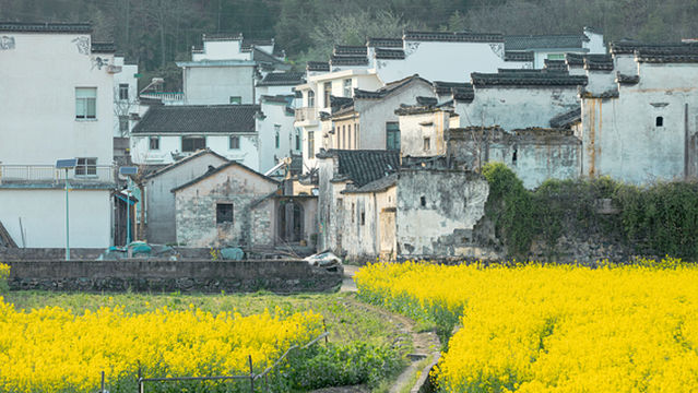 Longchuan Scenic Zone