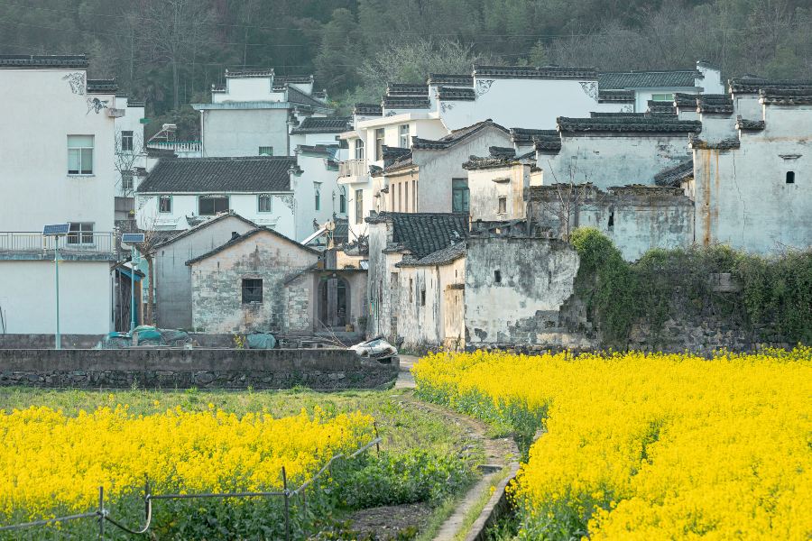 龍川景區