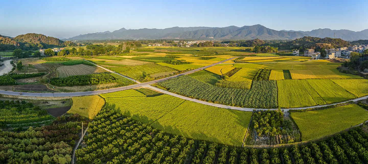 2_上甘棠村