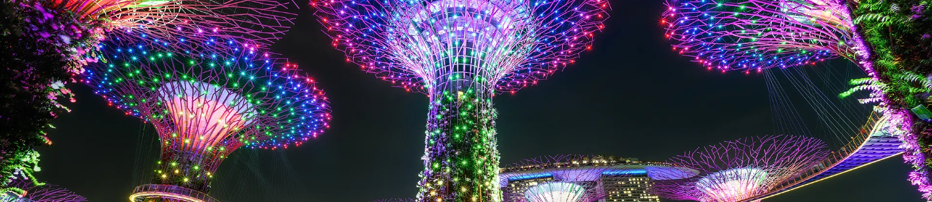 Night Attractions