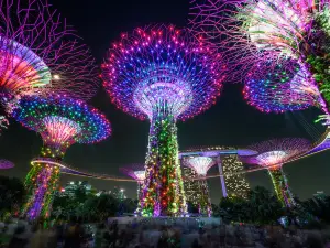 50 Điểm vui chơi về đêm Hàng Đầu Tại Singapore