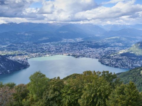 Voli Pisa Lugano diretti