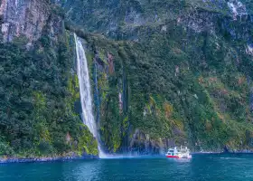 Milford Sound Scenic Cruises