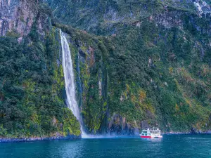 Milford Sound Scenic Cruises