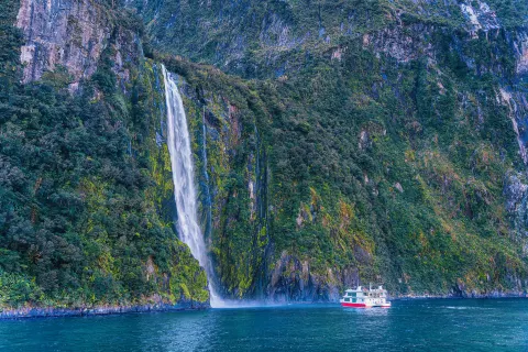 Milford Sound Scenic Cruises