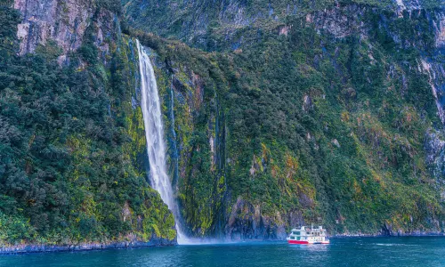 Milford Sound Scenic Cruises