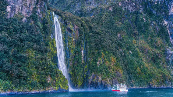 Milford Sound Scenic Cruises