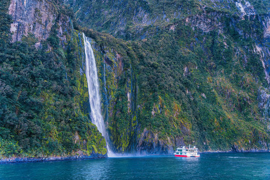 Milford Sound Scenic Cruises
