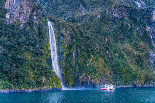 Milford Sound Scenic Cruises