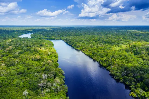 Amazzonia