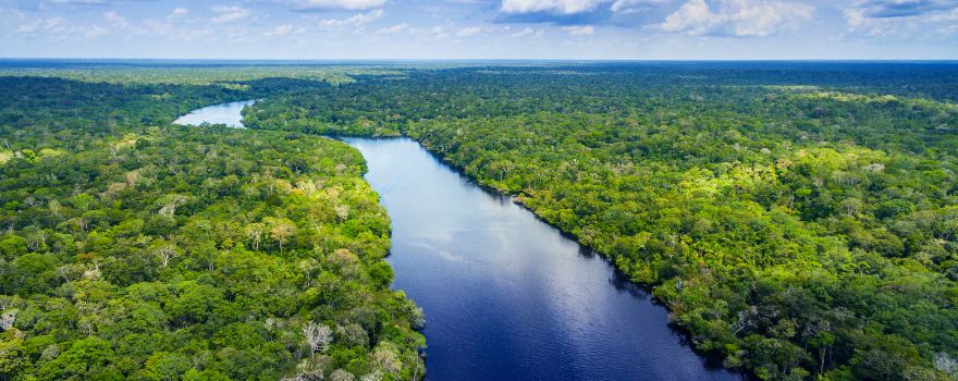 Amazon Rainforest