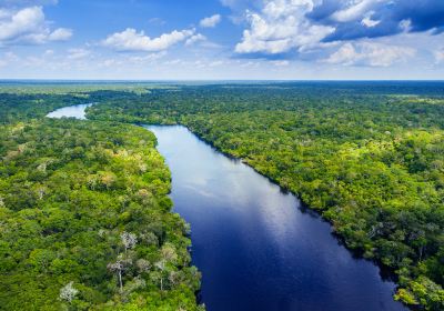 Forêt amazonienne