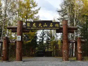 Julong Volcanic Stone Forest Scenic Area