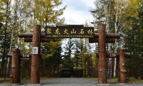 Julong Volcanic Stone Forest Scenic Area
