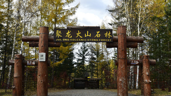 Julong Volcanic Stone Forest Scenic Area