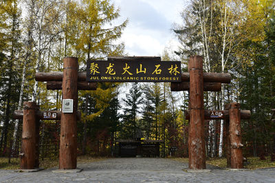 Julong Volcanic Stone Forest Scenic Area