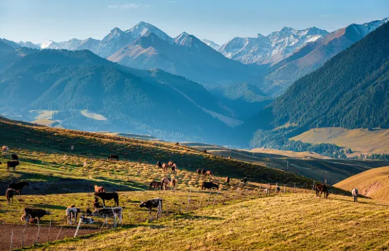 瓊庫什台服裝租賃+化妝造型體驗大小同價