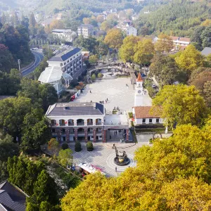 庾村文化市集