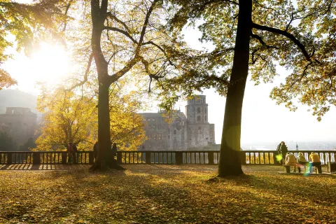 Castello di Heidelberg