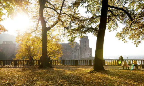 하이델베르크 성