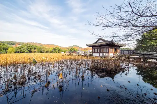 鄰近麴院風荷的酒店