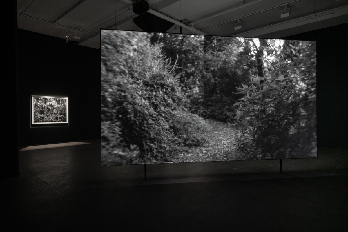 Dawoud Bey | Art Gallery of Ontario