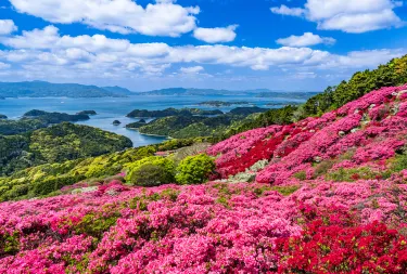 Sasebo