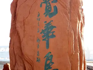 菊花島
