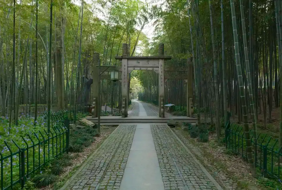 5_Bamboo-Lined Path at Yunqi