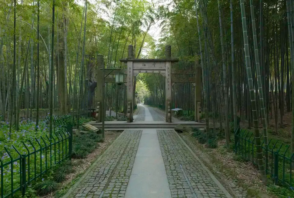 5_Bamboo-Lined Path at Yunqi