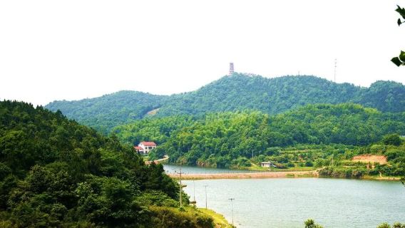 Xitang Ancient Town