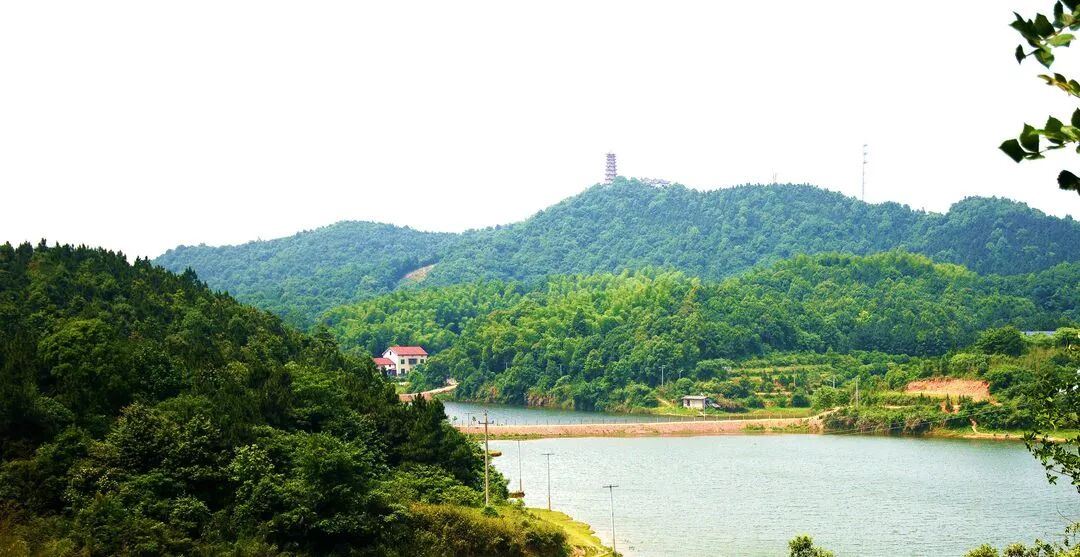 Xitang Ancient Town