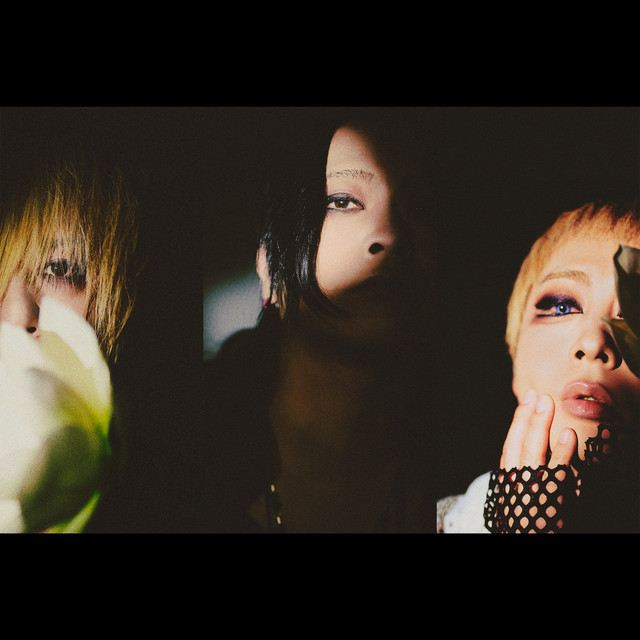 MUCC 2026 투어: 시작부터 연꽃까지 | KYOTO MUSE