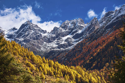 Mount Siguniang