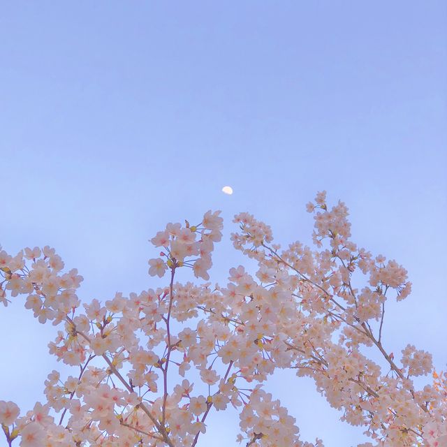 altTitle