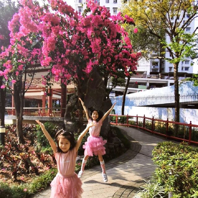 《假日親子好去處》康寧道公園