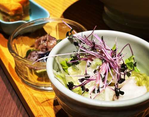 Wired Chaya