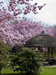 Jardin japonais de Hasselt