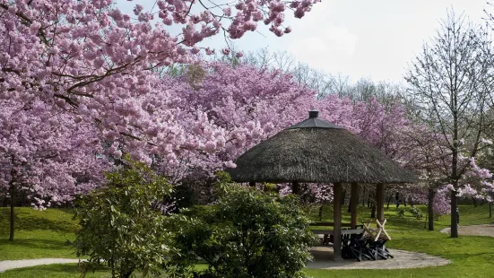 哈瑟爾特日本庭園