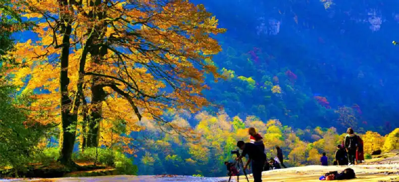 Hotels in Yiliang