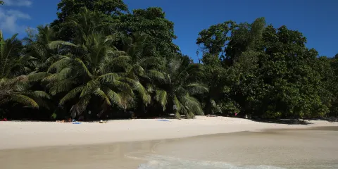 瑪卡哈海濱公園