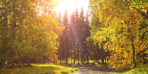 無錫長廣溪國家濕地公園
