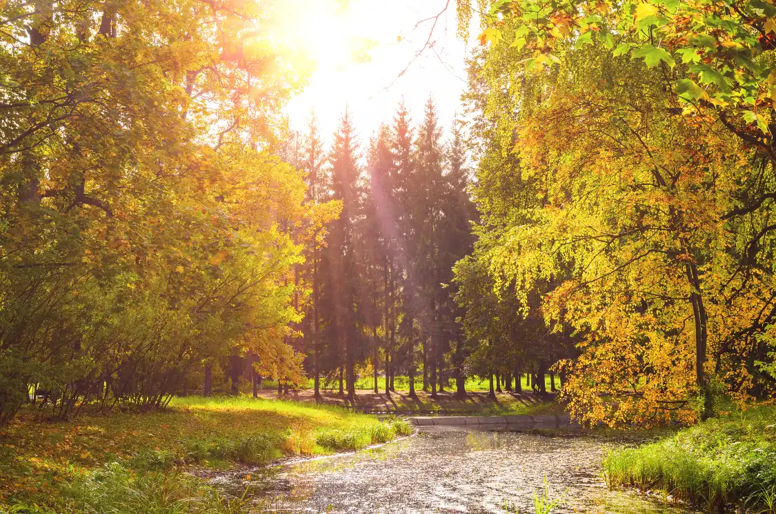 우시 창광시 국가습지공원 주변 호텔