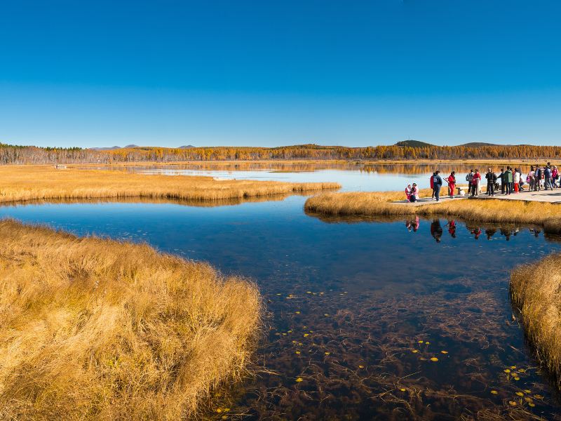 Saihanba National Forest Park