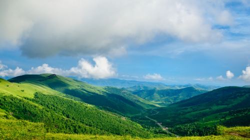 Huanggangliang Nature Reserve