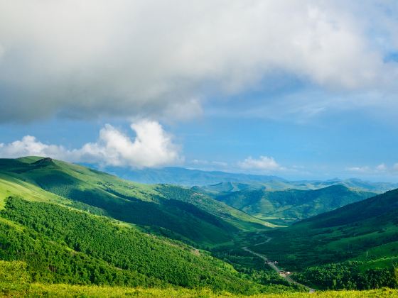 黄崗梁森林旅遊区