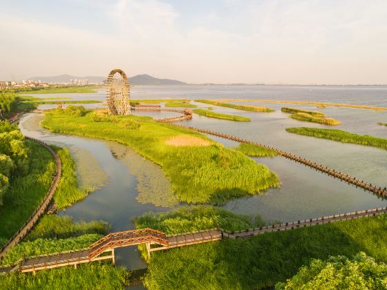 蘇州太湖湖畔国家湿地公園