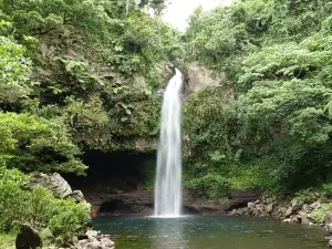 Lavena Coastal Walk