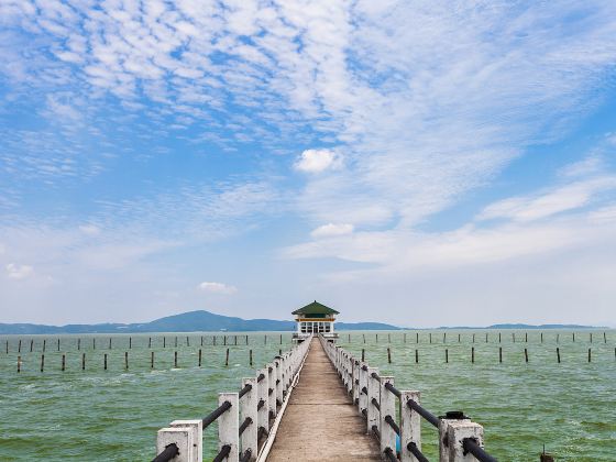 馬山旅遊度假區